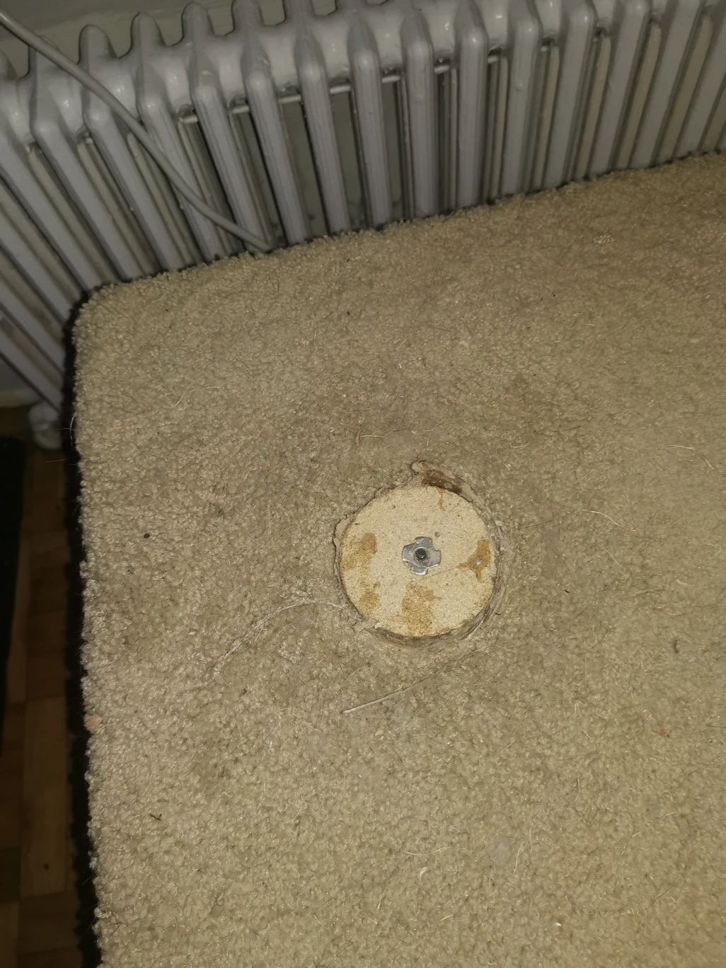 Cat Tree #freecycle - photo 2