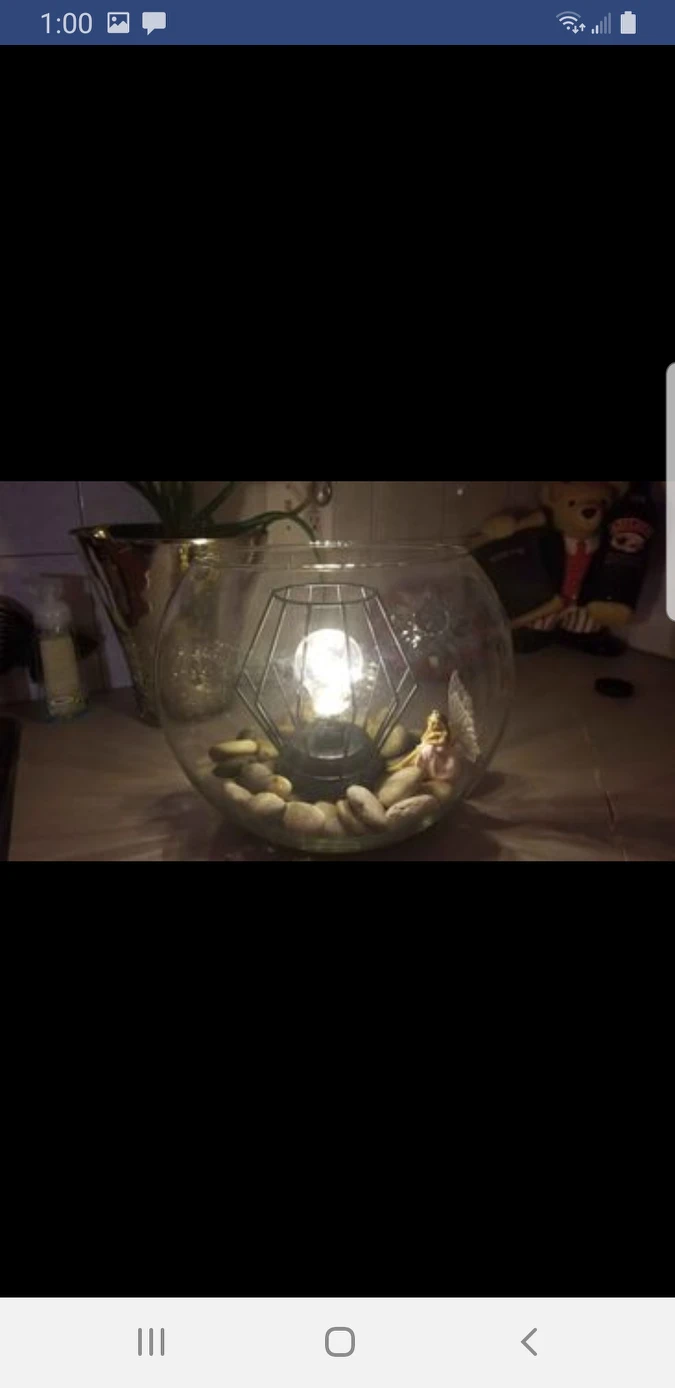 Homemade Terrarium Deco Lamp image indicator(5)