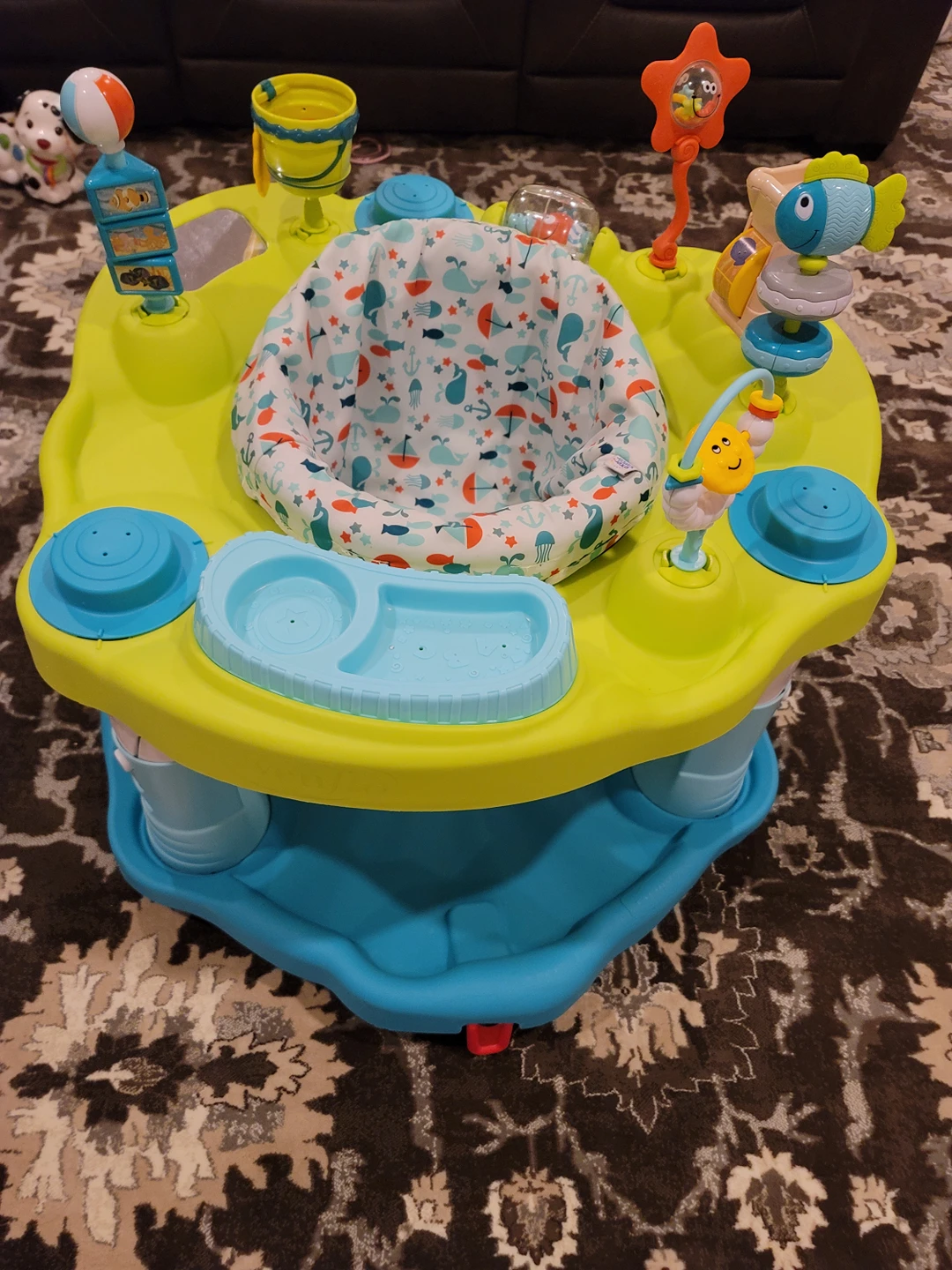 Evenflo Exersaucer thumbnail