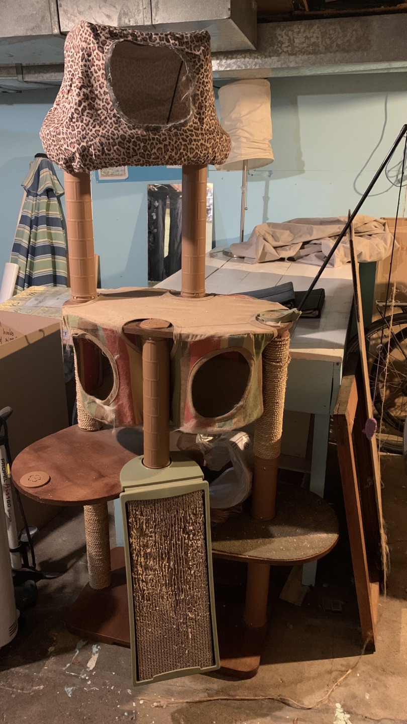 Great cat tree! Lots of levels! thumbnail