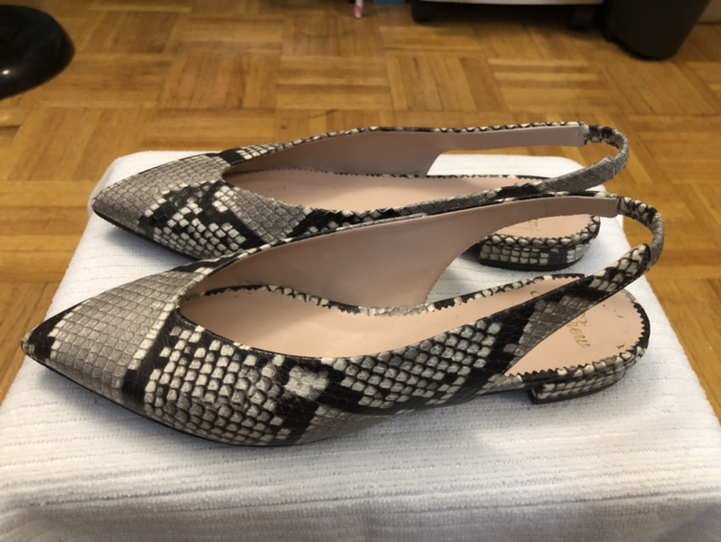 J-CREW Snake Plant Leather Shoes Size 5.5M
