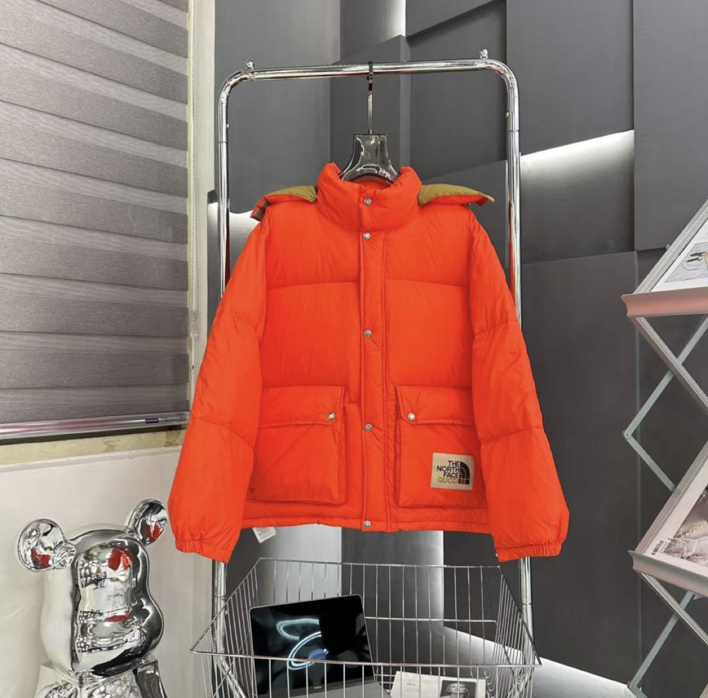 The North Face & Gucci Jacket