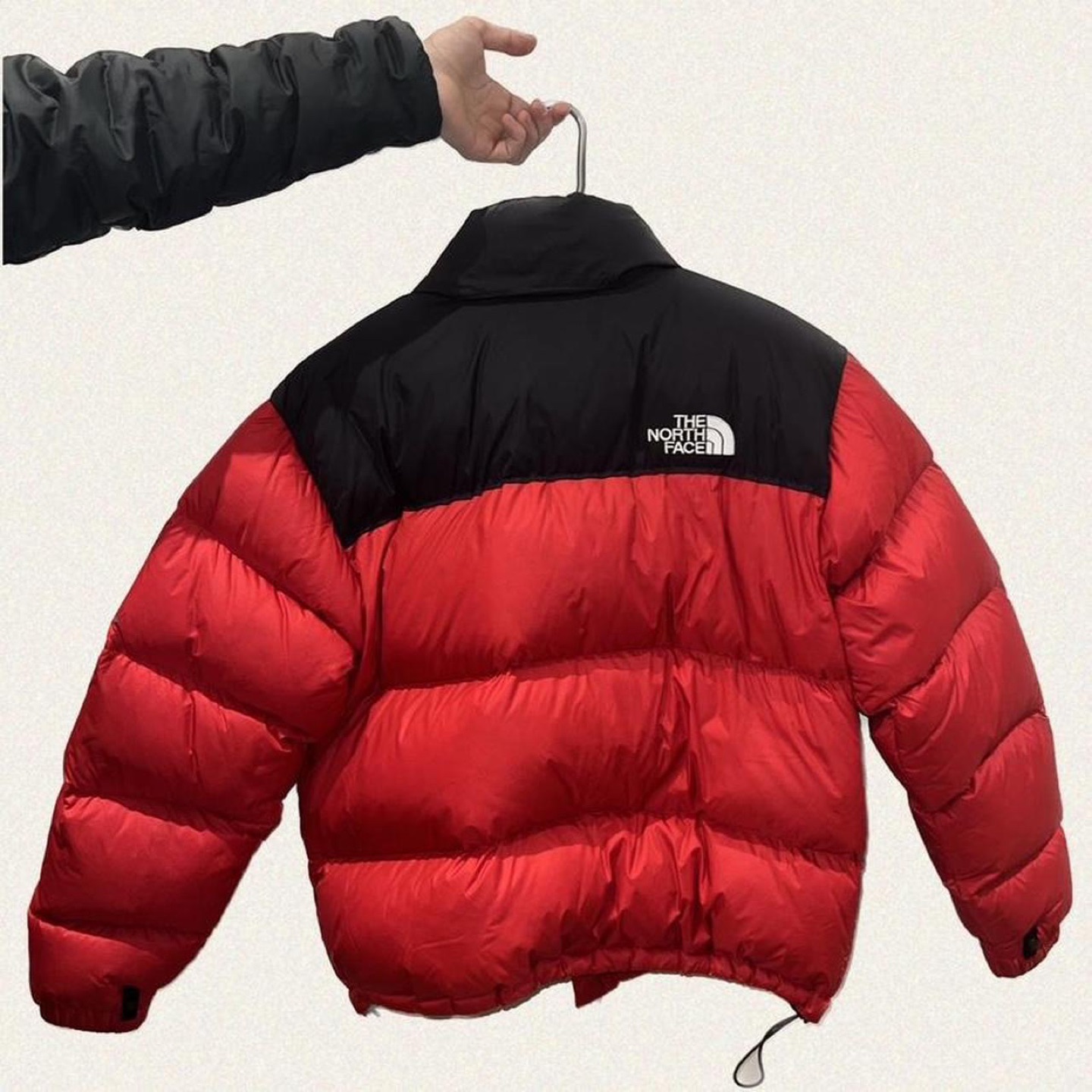 Men’s The North Face Napster Jacket in Red image indicator(4)