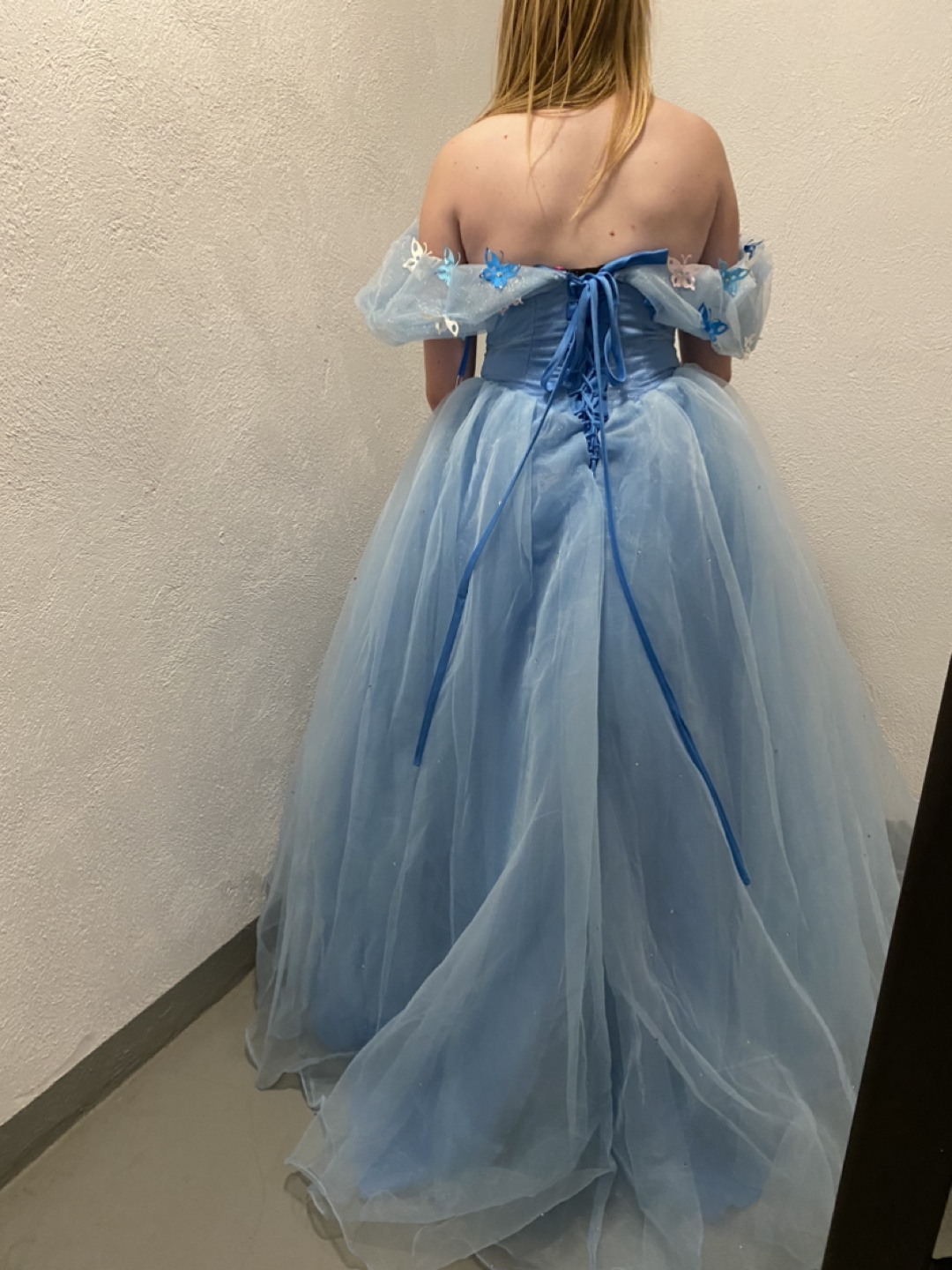 Cinderella quinceanera dress - photo 2