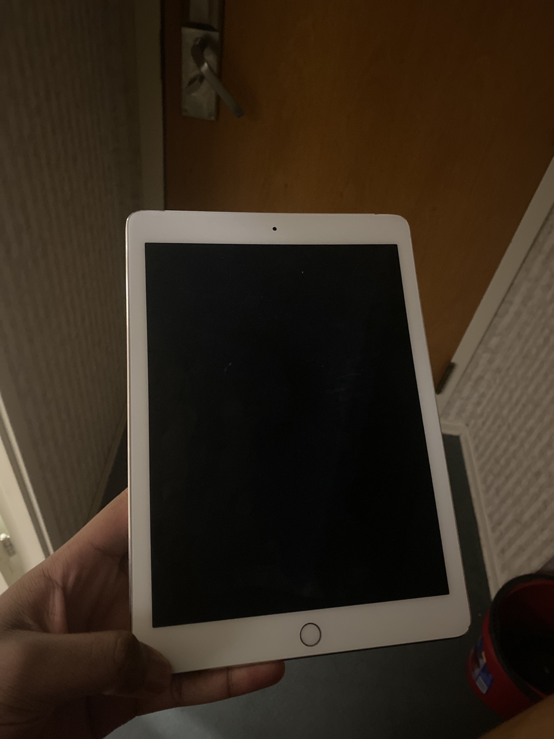iPad Air 2