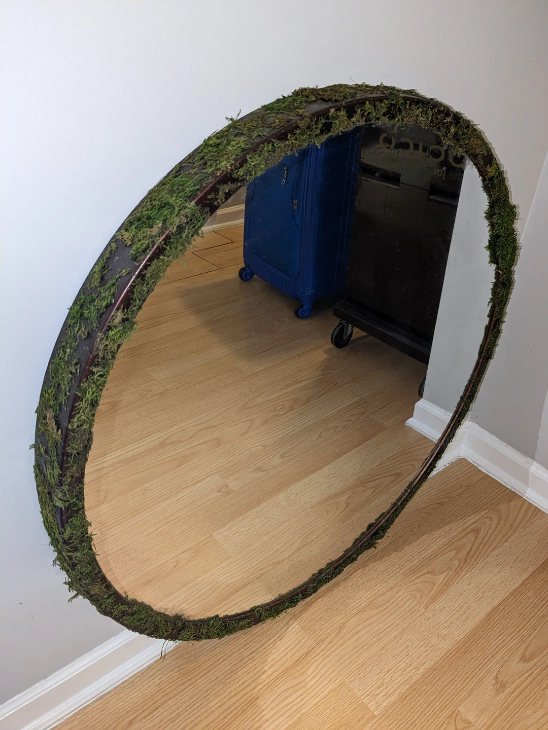 circle mirror with fake moss - photo 2