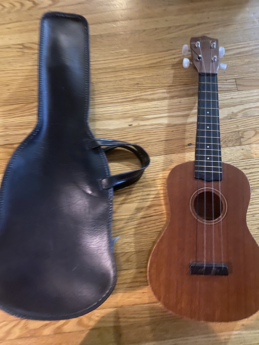 Ukulele with case
