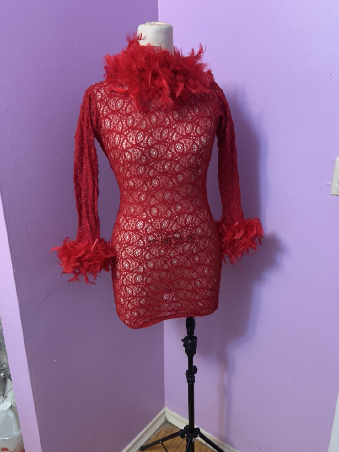 Red See through dress with feathers. Size small. Stretch image indicator(3)
