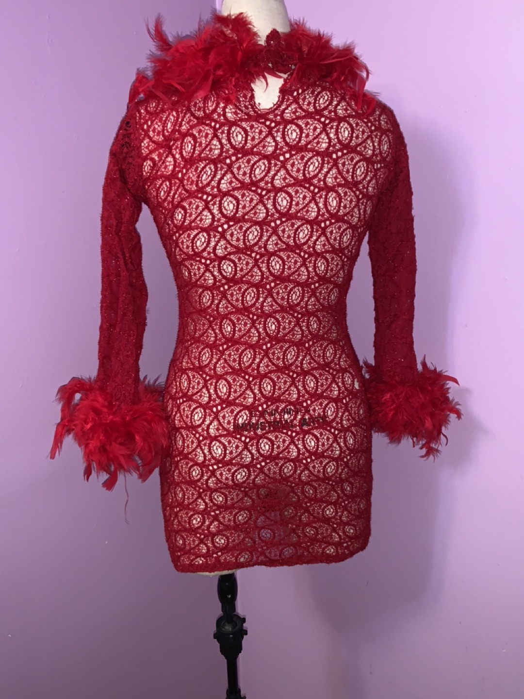 Red See through dress with feathers. Size small. Stretch thumbnail