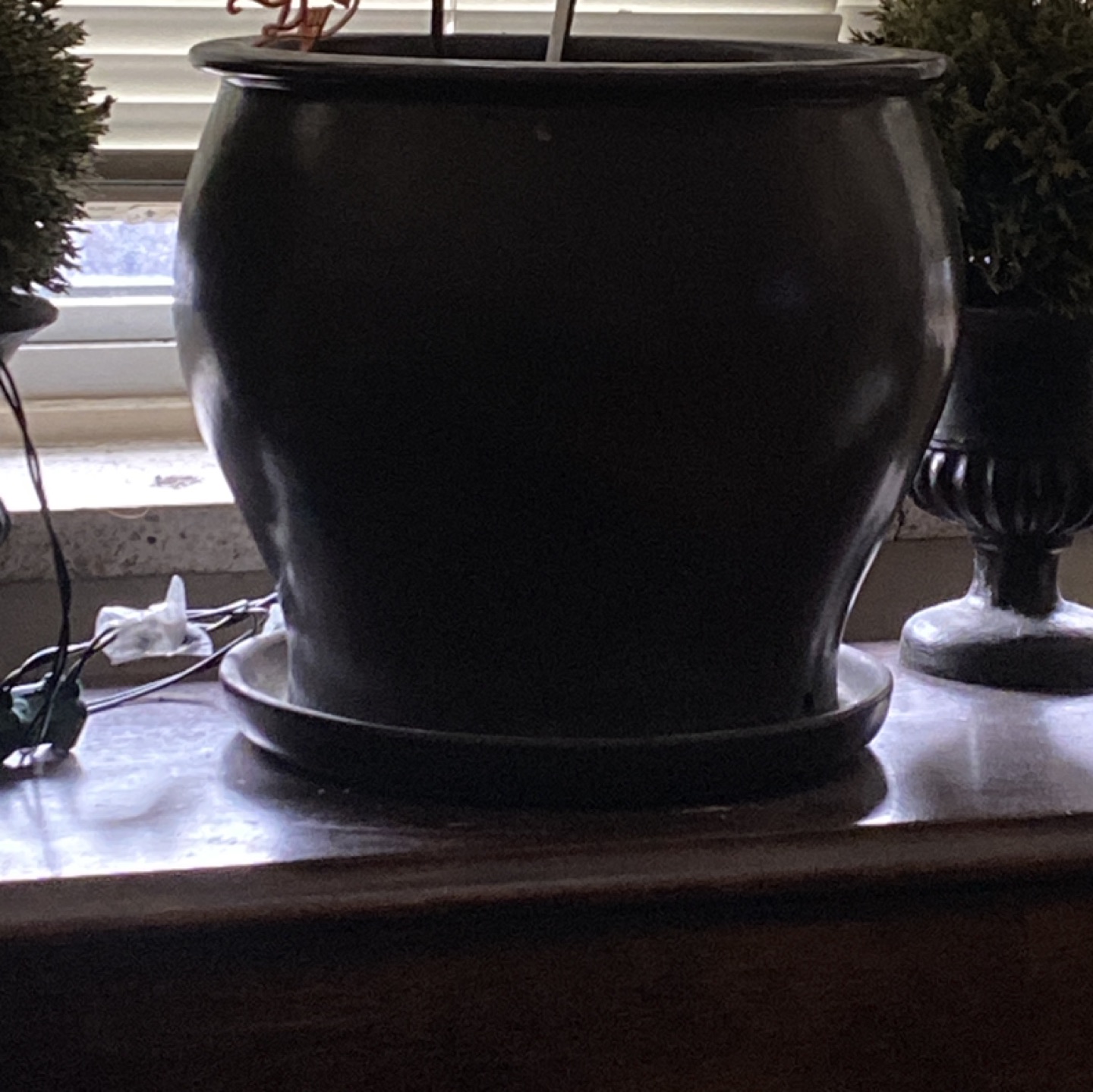 Big Plant pot