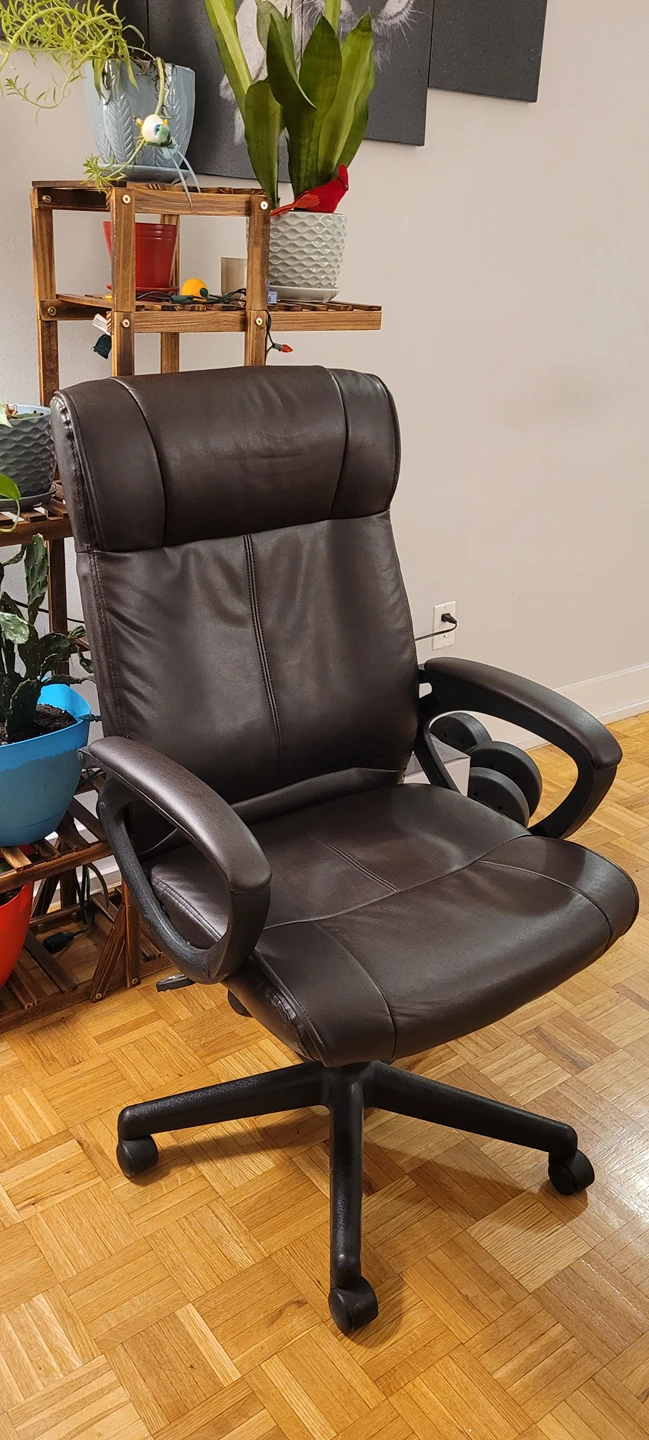 Office Chair for only $60 Moving Sale