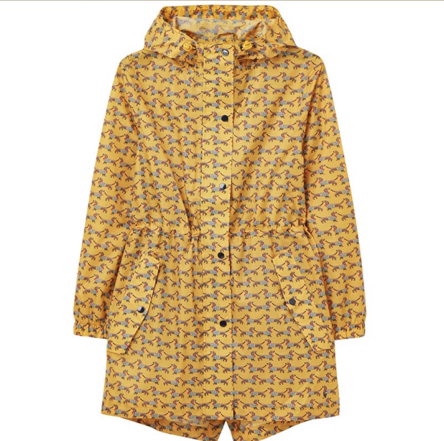 BNWOT Joules Daschund Raincoat thumbnail