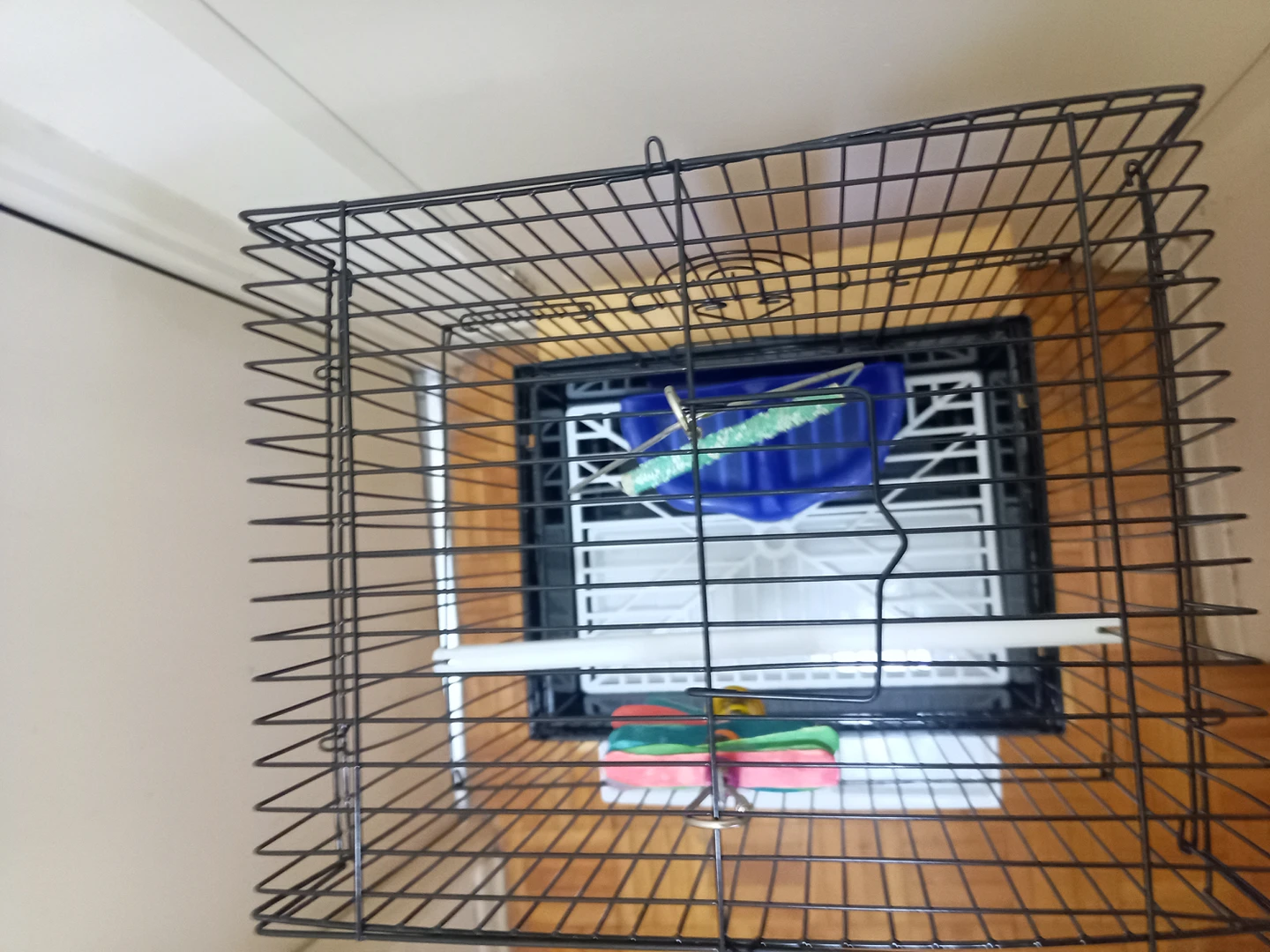 Small bird cage thumbnail