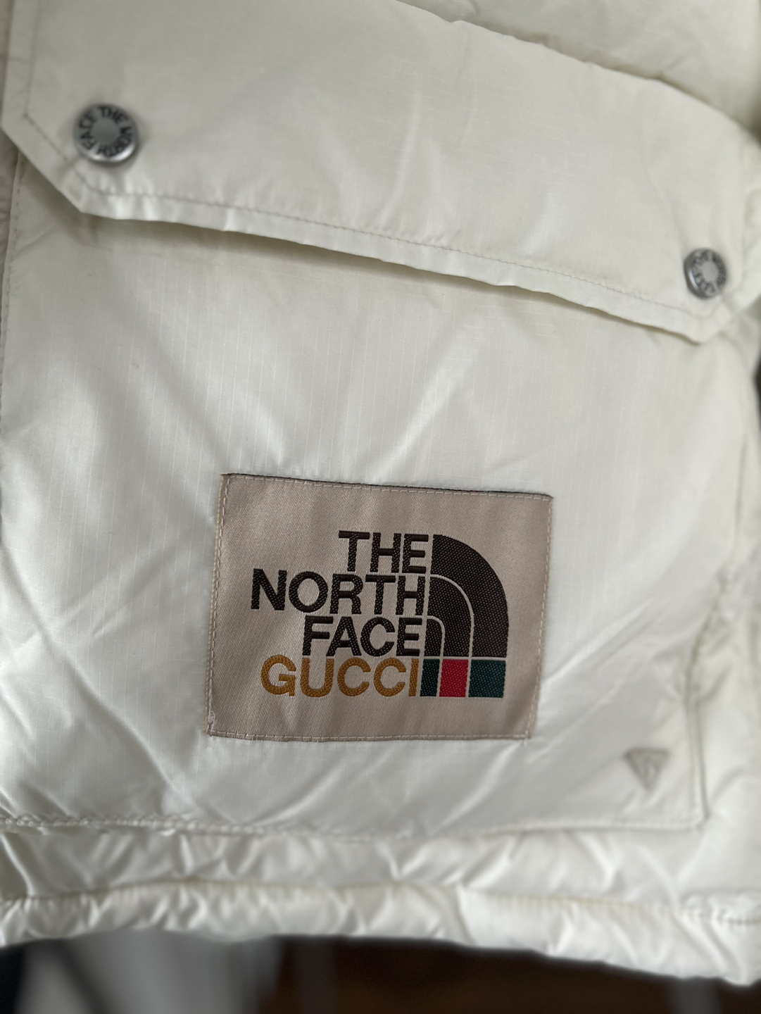 The North Face & Gucci Jacket - photo 5