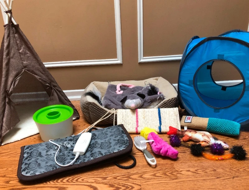 kitten starter bundle kit bed toys tent