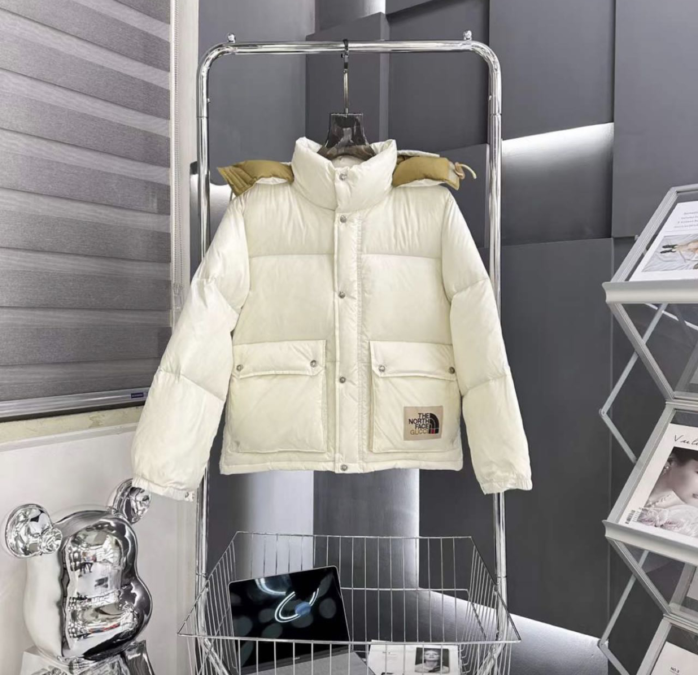 The North Face & Gucci Jacket
