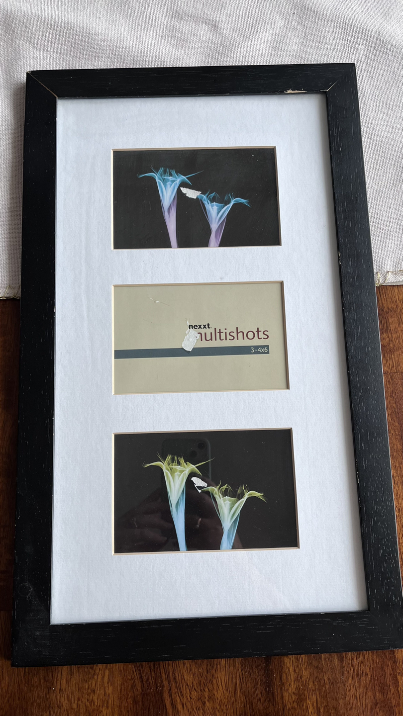 Black picture frame thumbnail