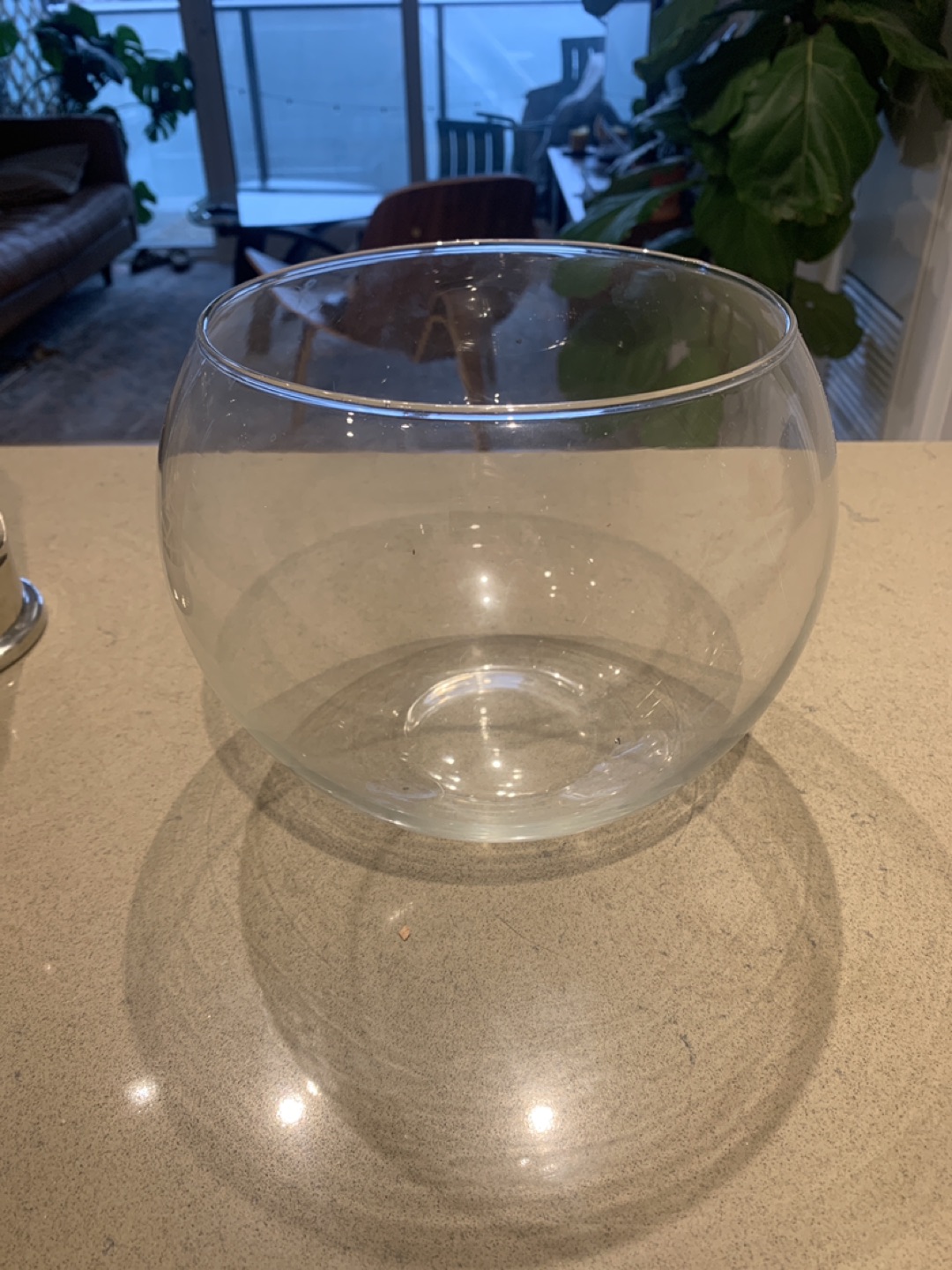 Fishbowl Vase