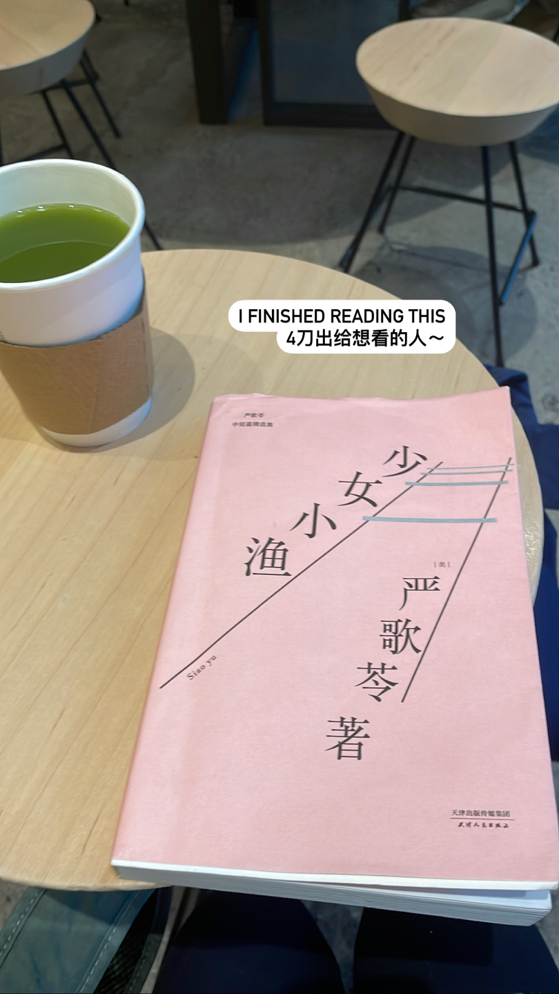 A Chinese novel thumbnail