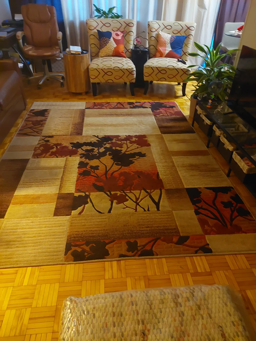 Living Room Carpet - photo 2