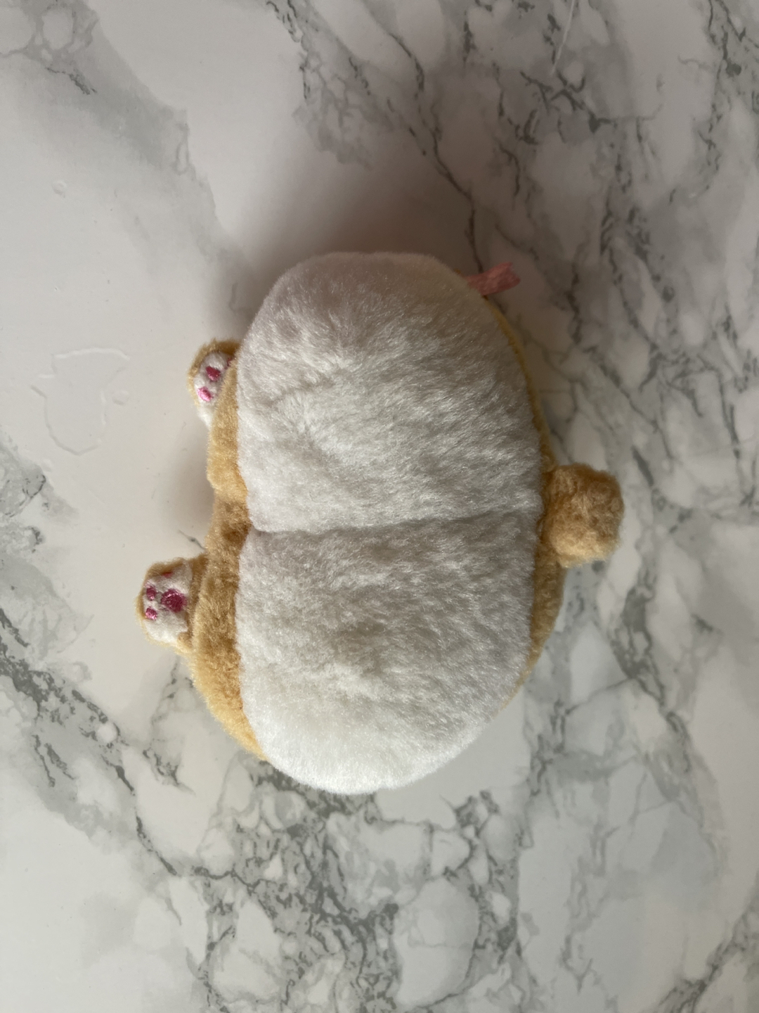 Corgi but coin purse