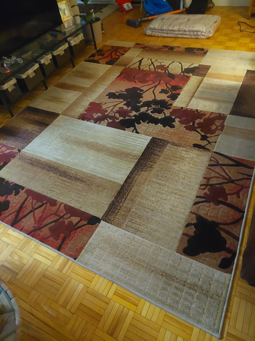 Living Room Carpet