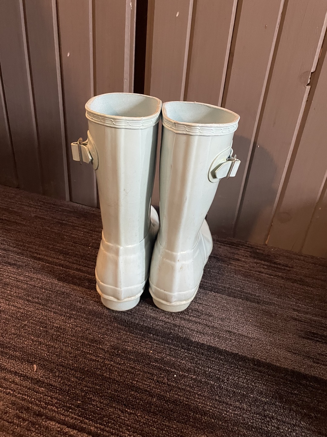 HUNTER rain roots image indicator(2)