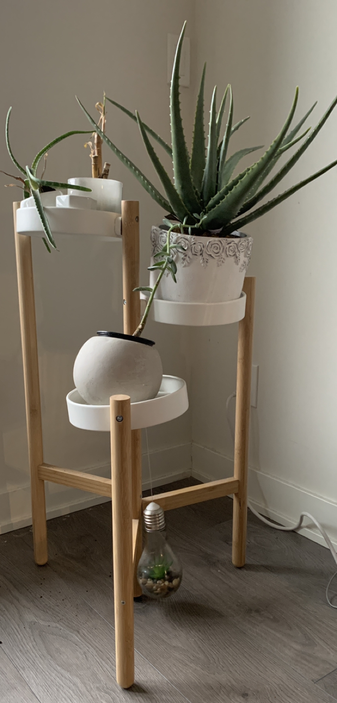 Plant stand