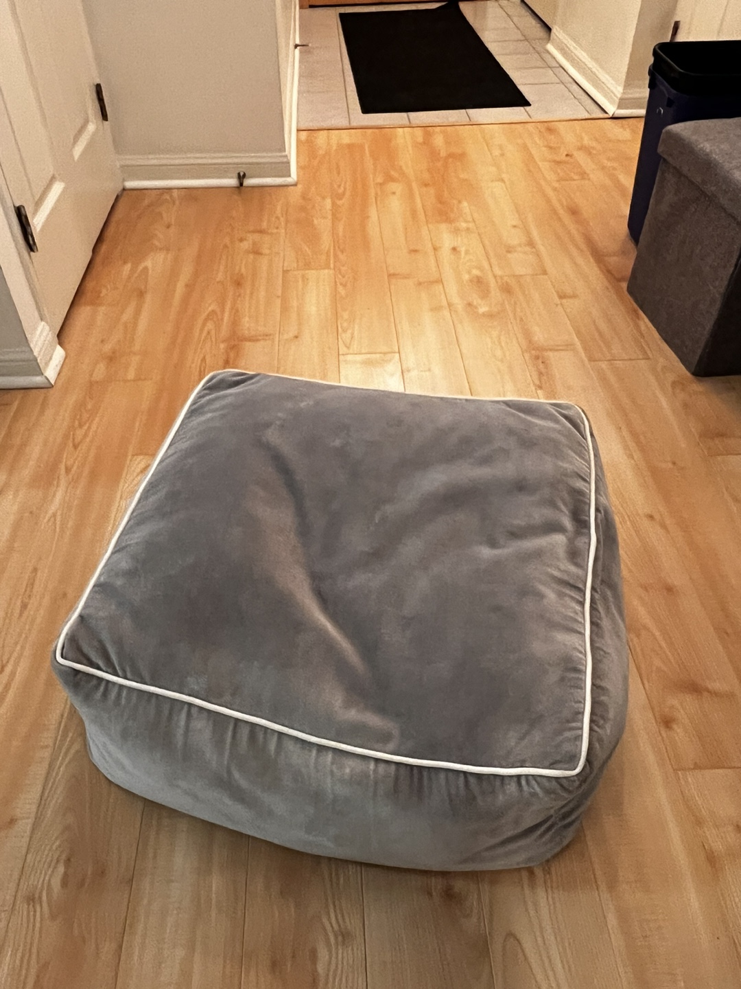 Seated beanbag type cushion. thumbnail