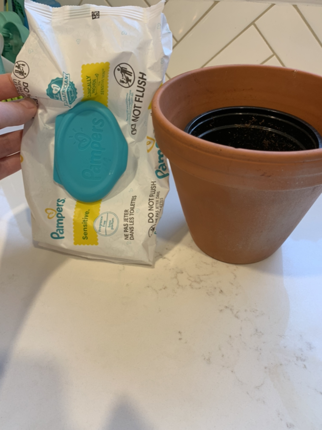 #freecycle Flowerpot thumbnail