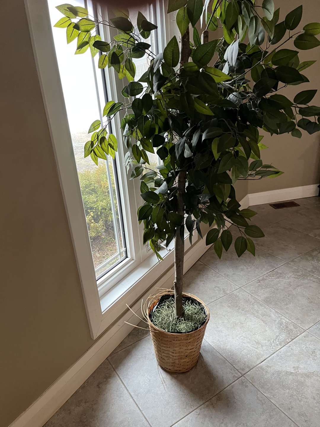 Fake trees, like new, cheap $79 thumbnail