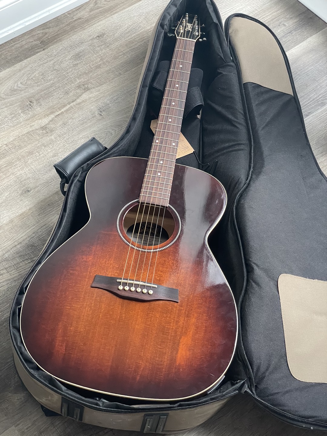 Seagull guitar thumbnail