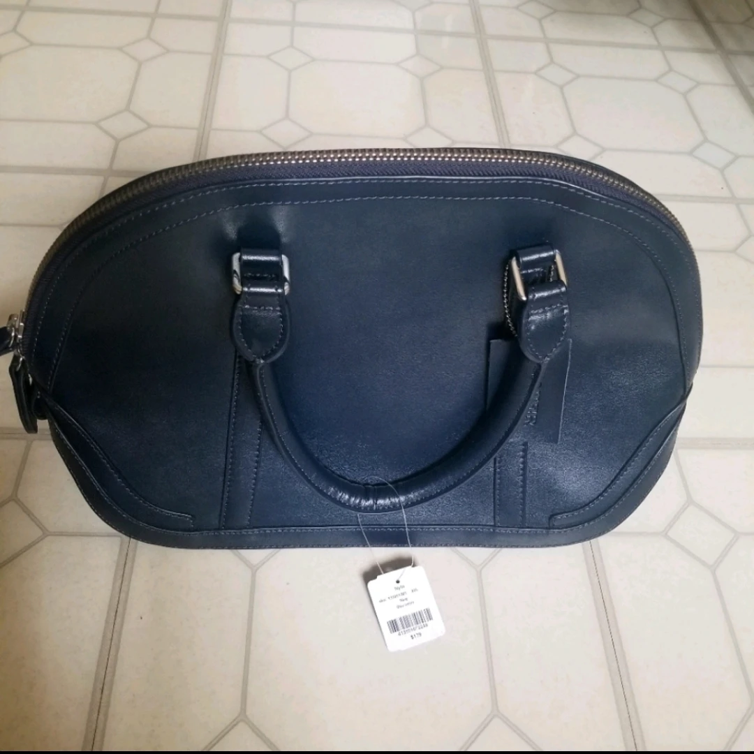Navy blue Danier leather purse