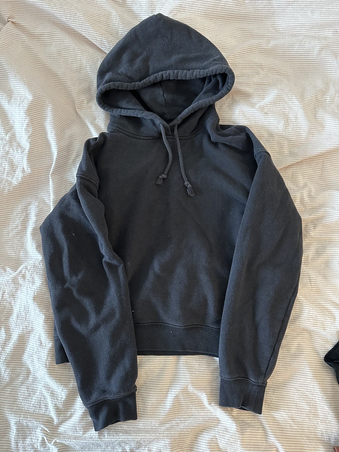 Aritzia Hoodie