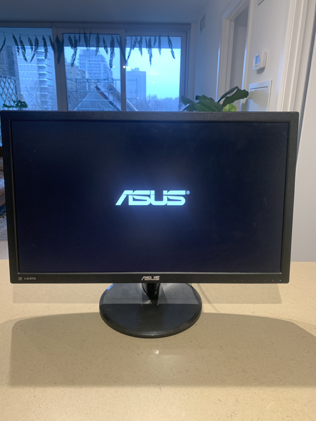 Asus Monitor