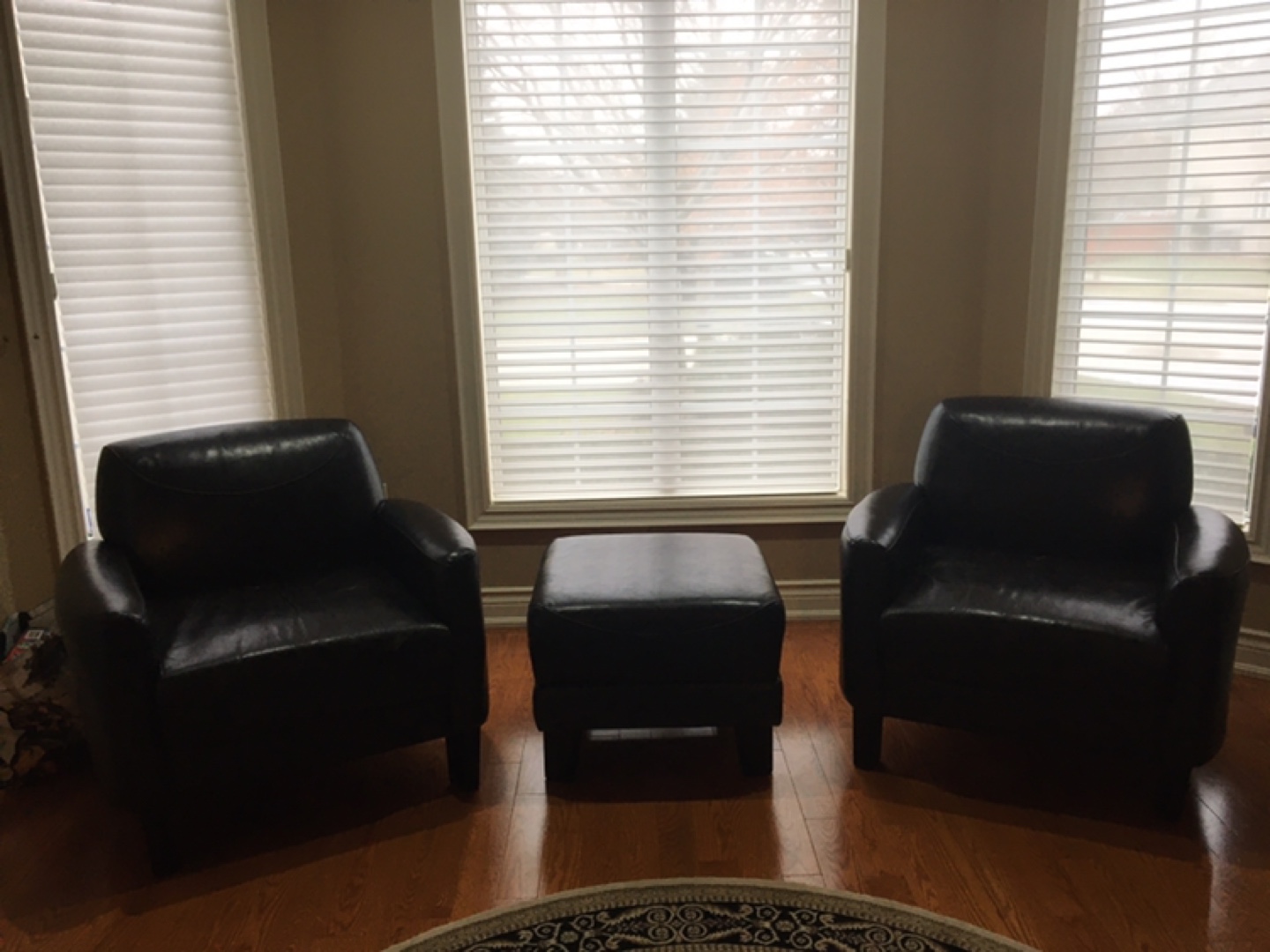 2 Leather Arm Chairs with Ottoman