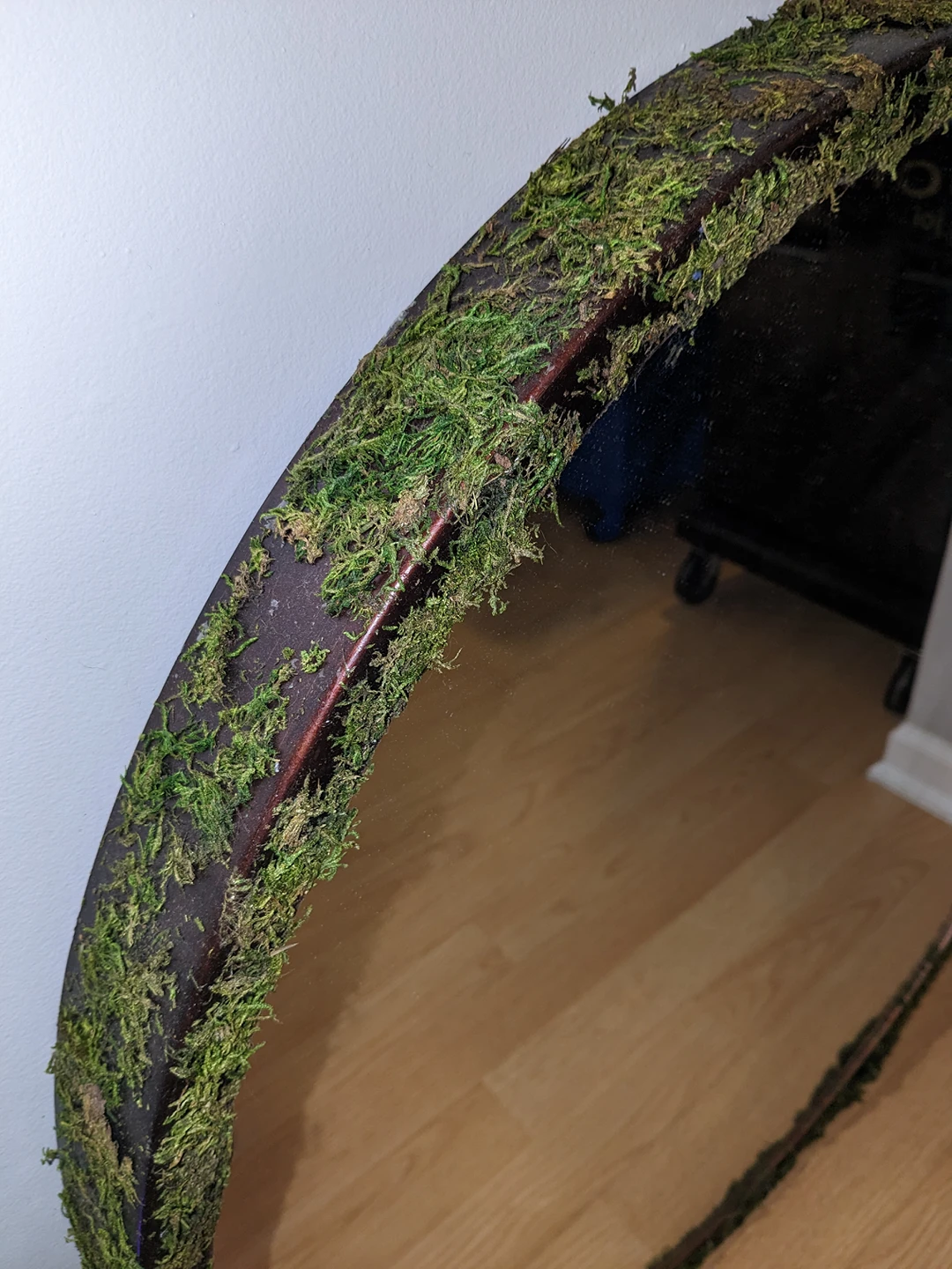 circle mirror with fake moss - photo 3