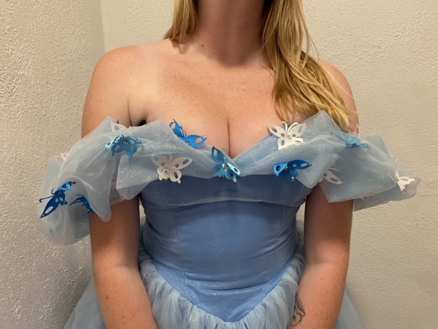 Cinderella quinceanera dress - photo 3