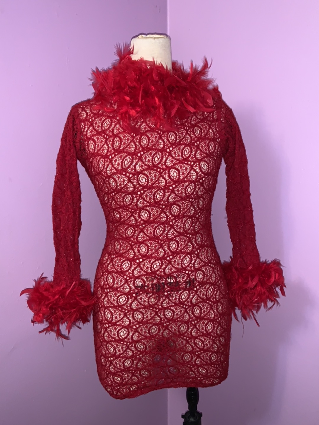Red See through dress with feathers. Size small. Stretch image indicator(2)