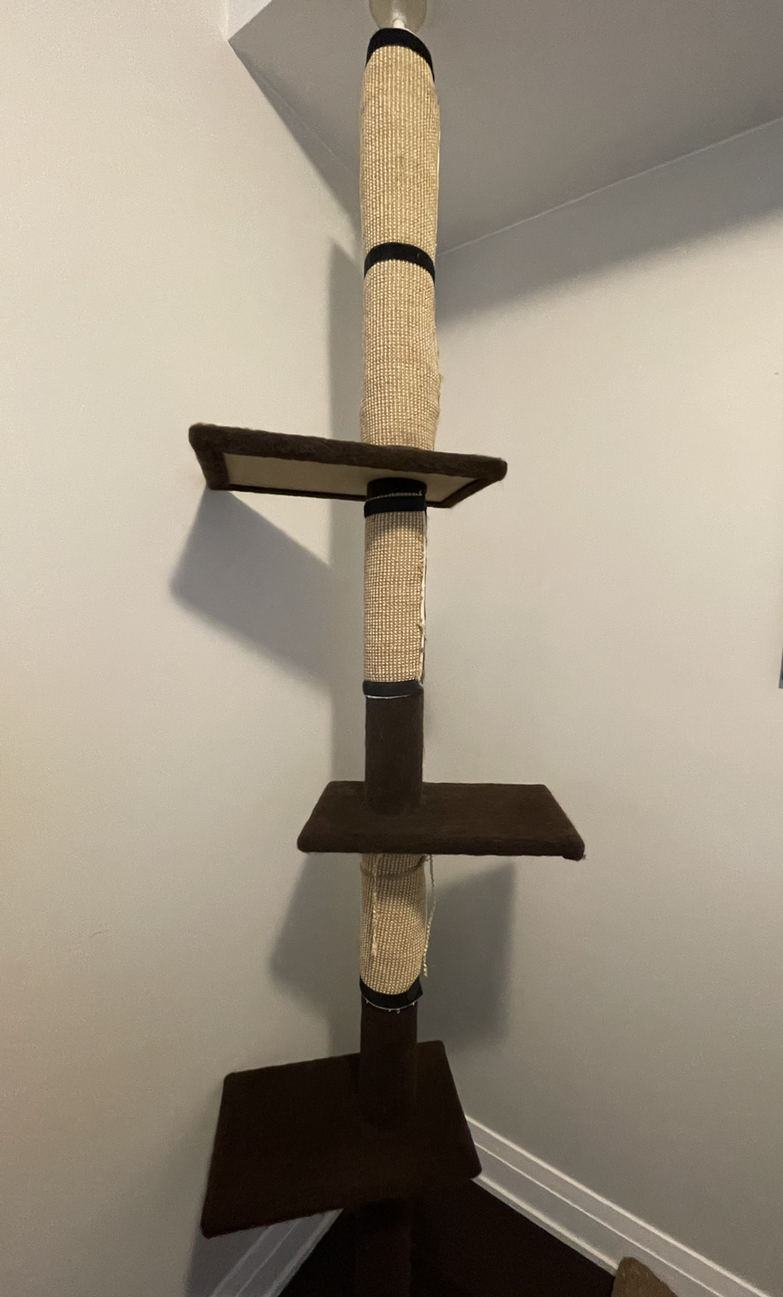 Cat Tree