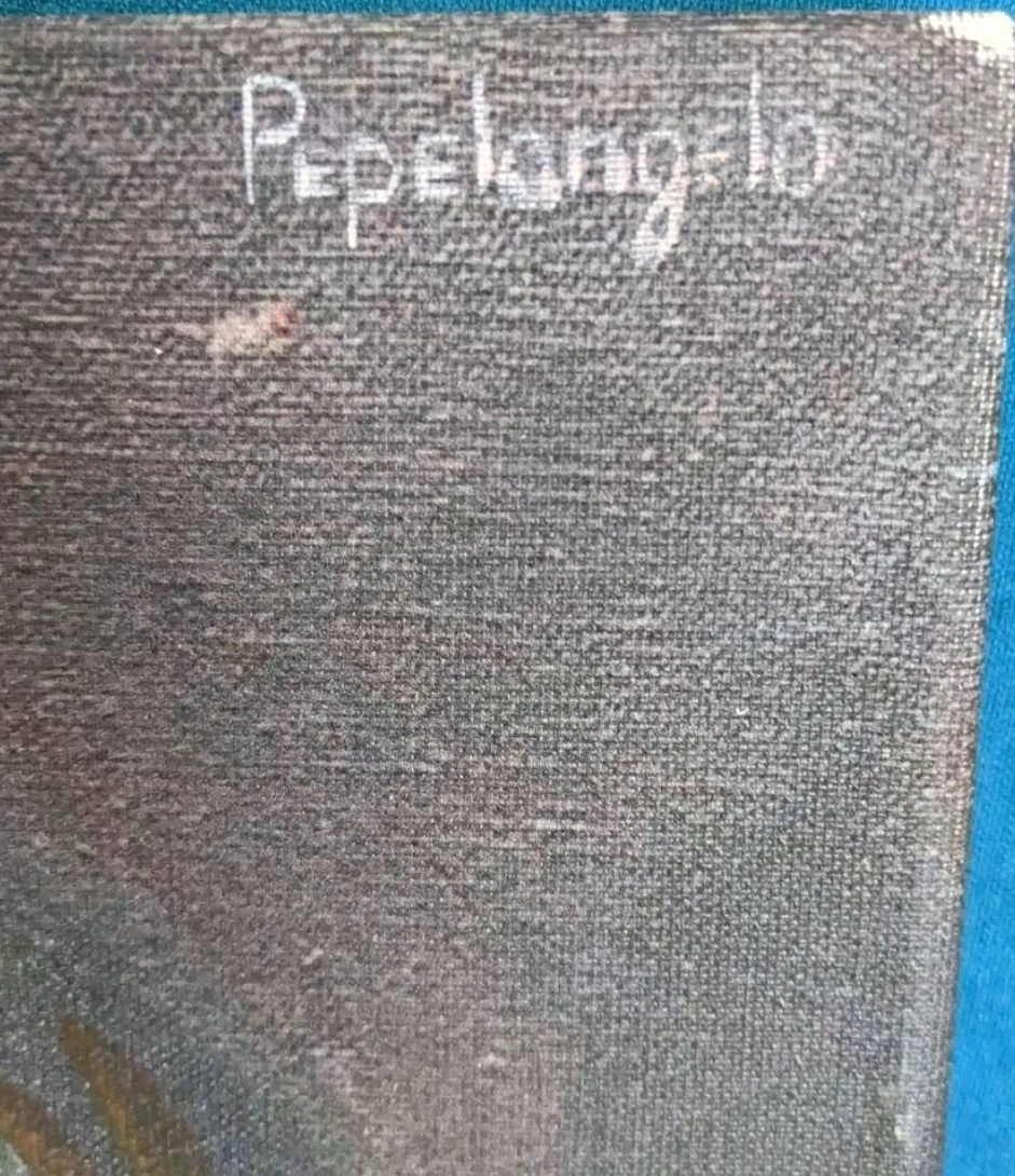 " Pepelangelo " canvas art . 15.75 x11.75 in. Final Reduction image indicator(4)