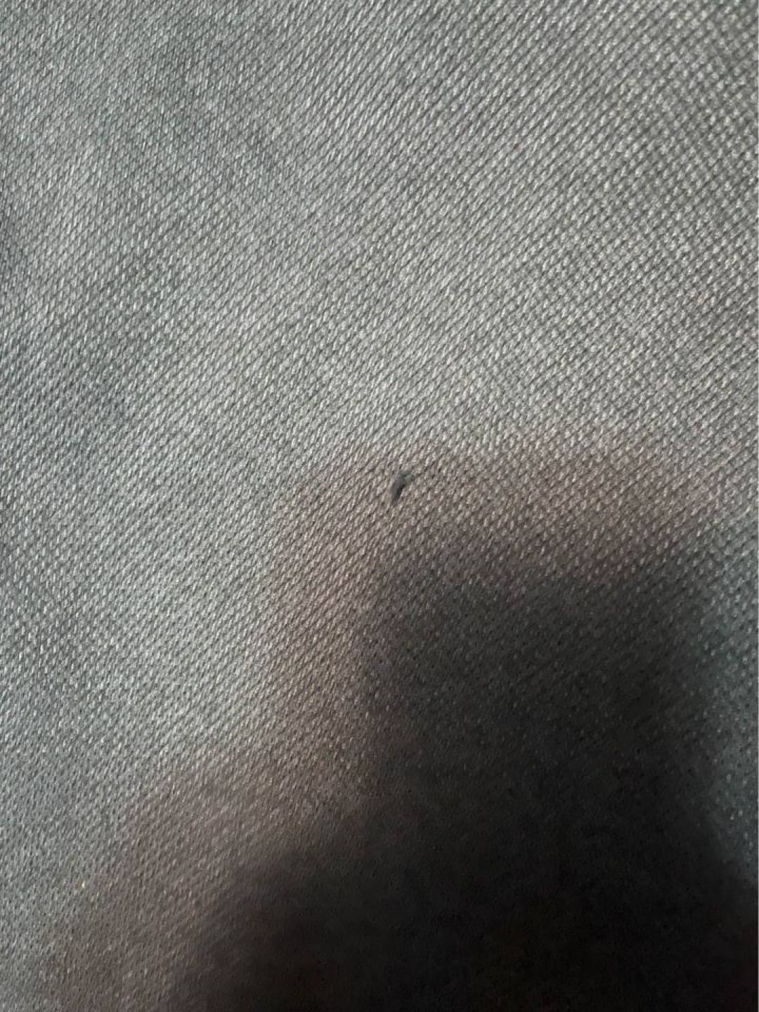 Zara Men’s Casual Blue Bomber - photo 2