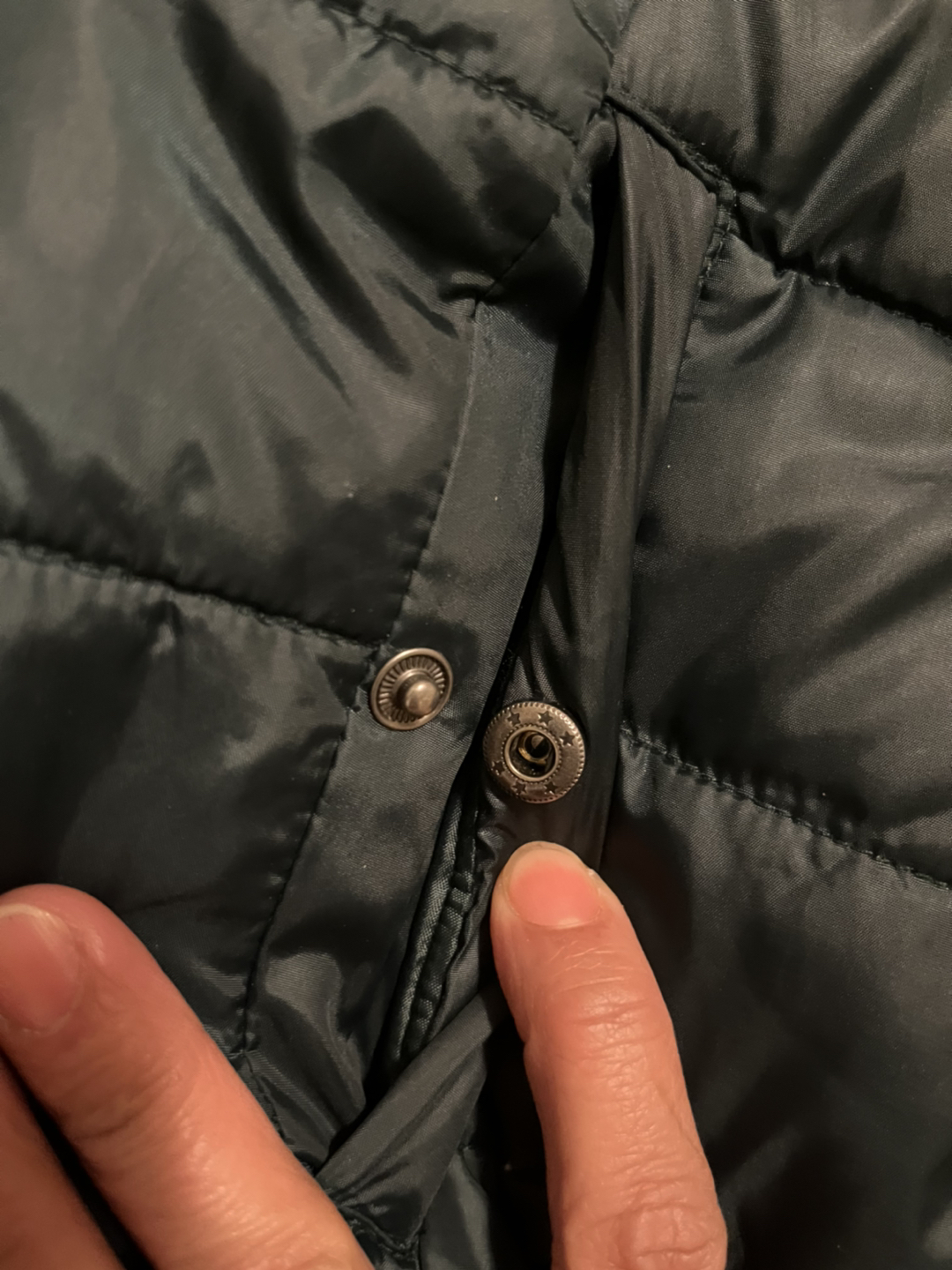 Terranova Winter Coat image indicator(3)