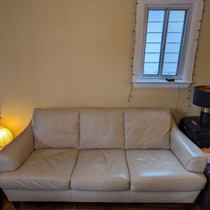 Two Piece Leather Sofa Set (Sofa And Loveseat)