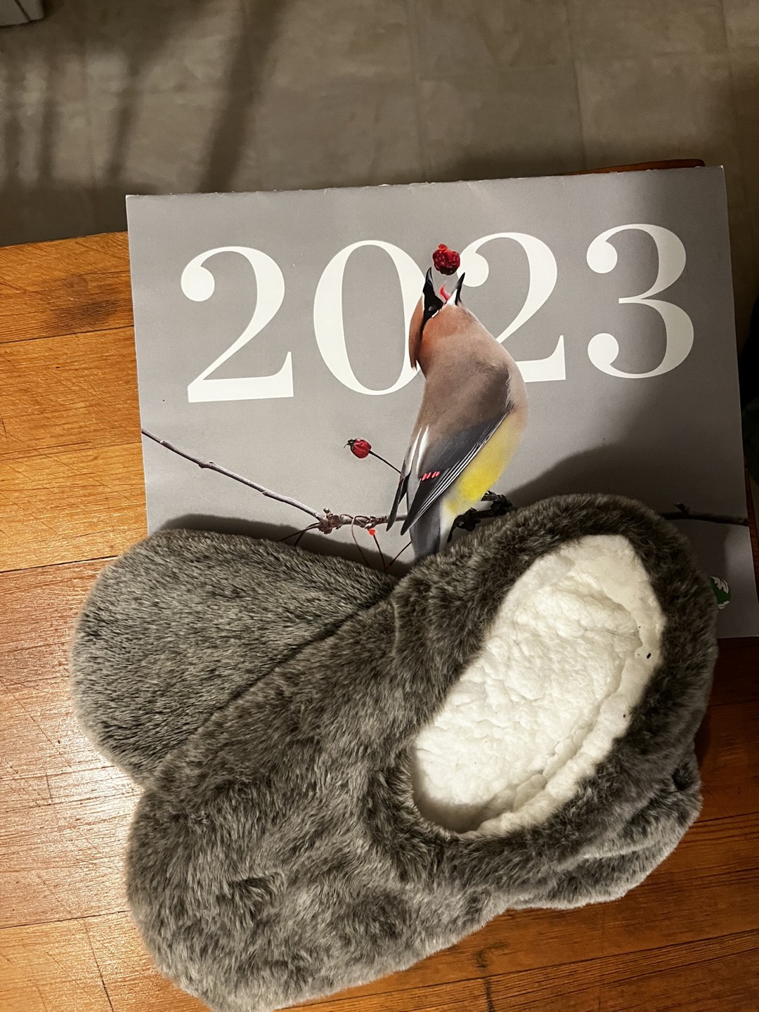 #freecycle calendar and slippers thumbnail