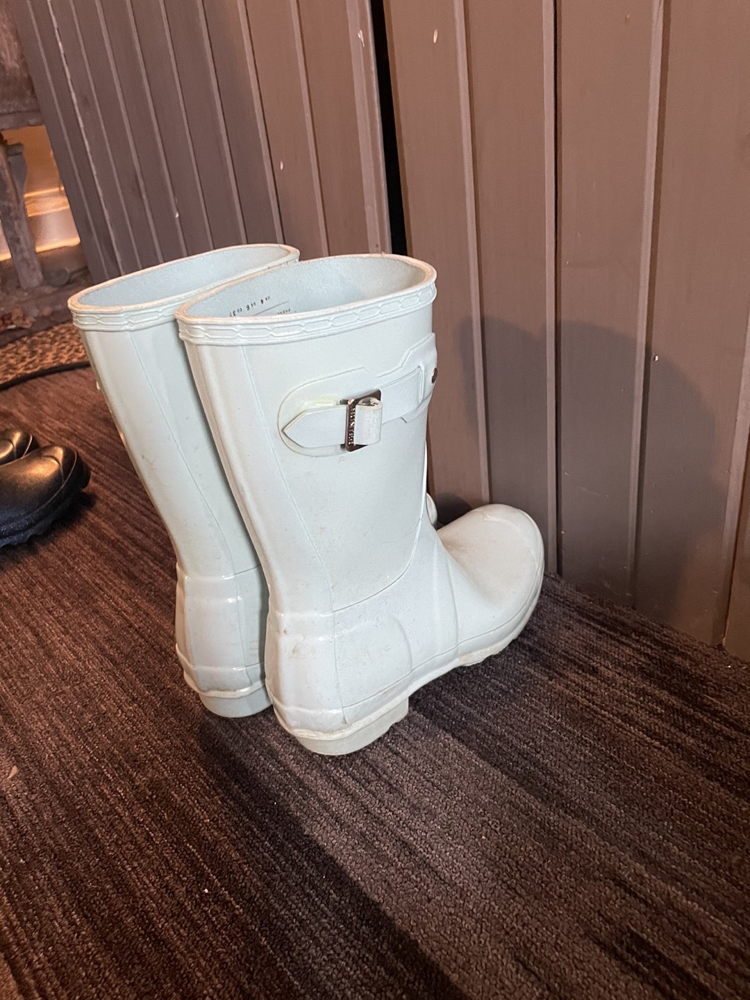 HUNTER rain roots image indicator(3)