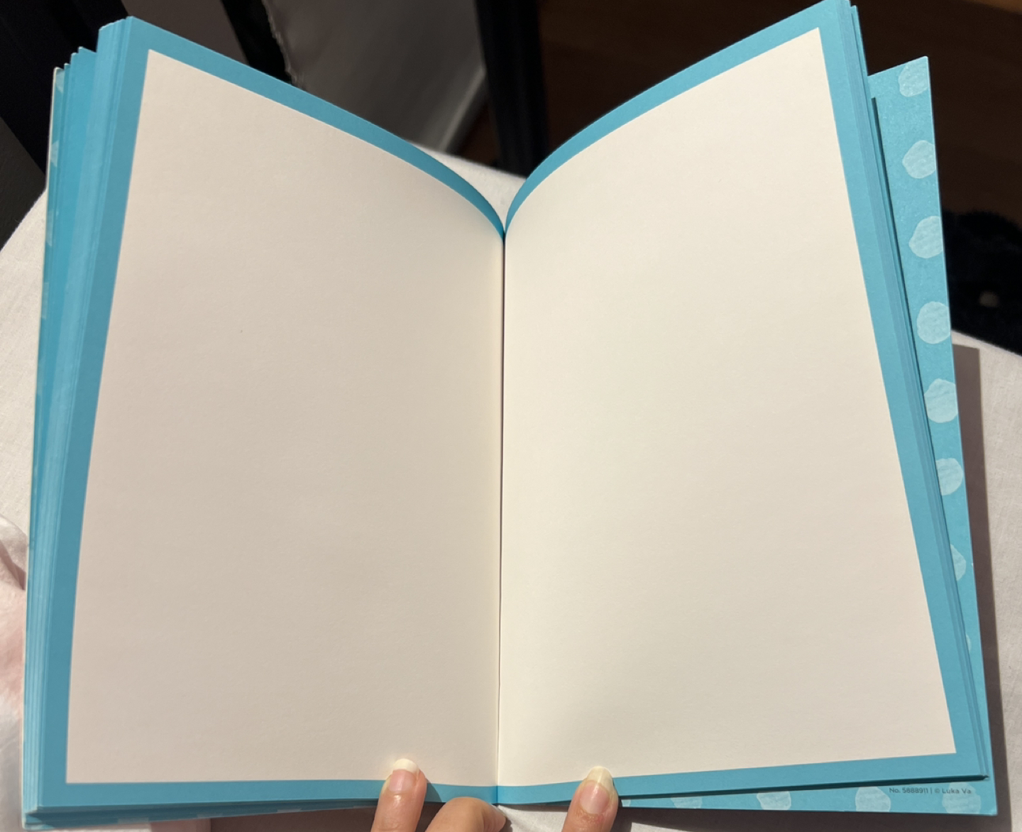 A PAPYRUS notebook image indicator(3)