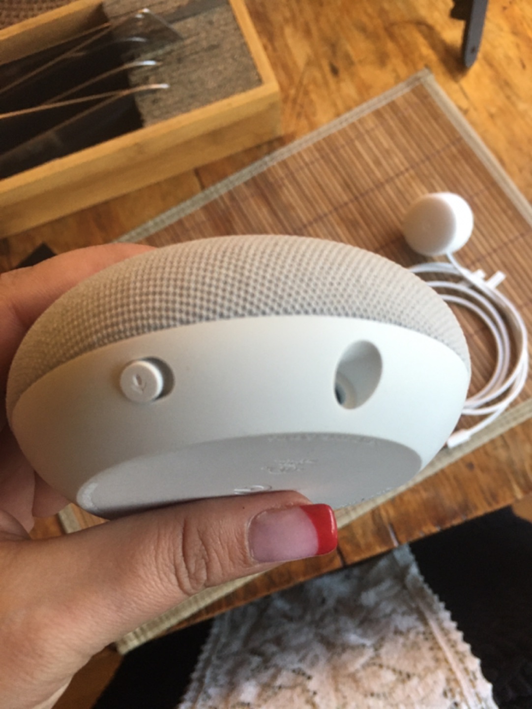 HEY GOOGLE! Google Nest Mini