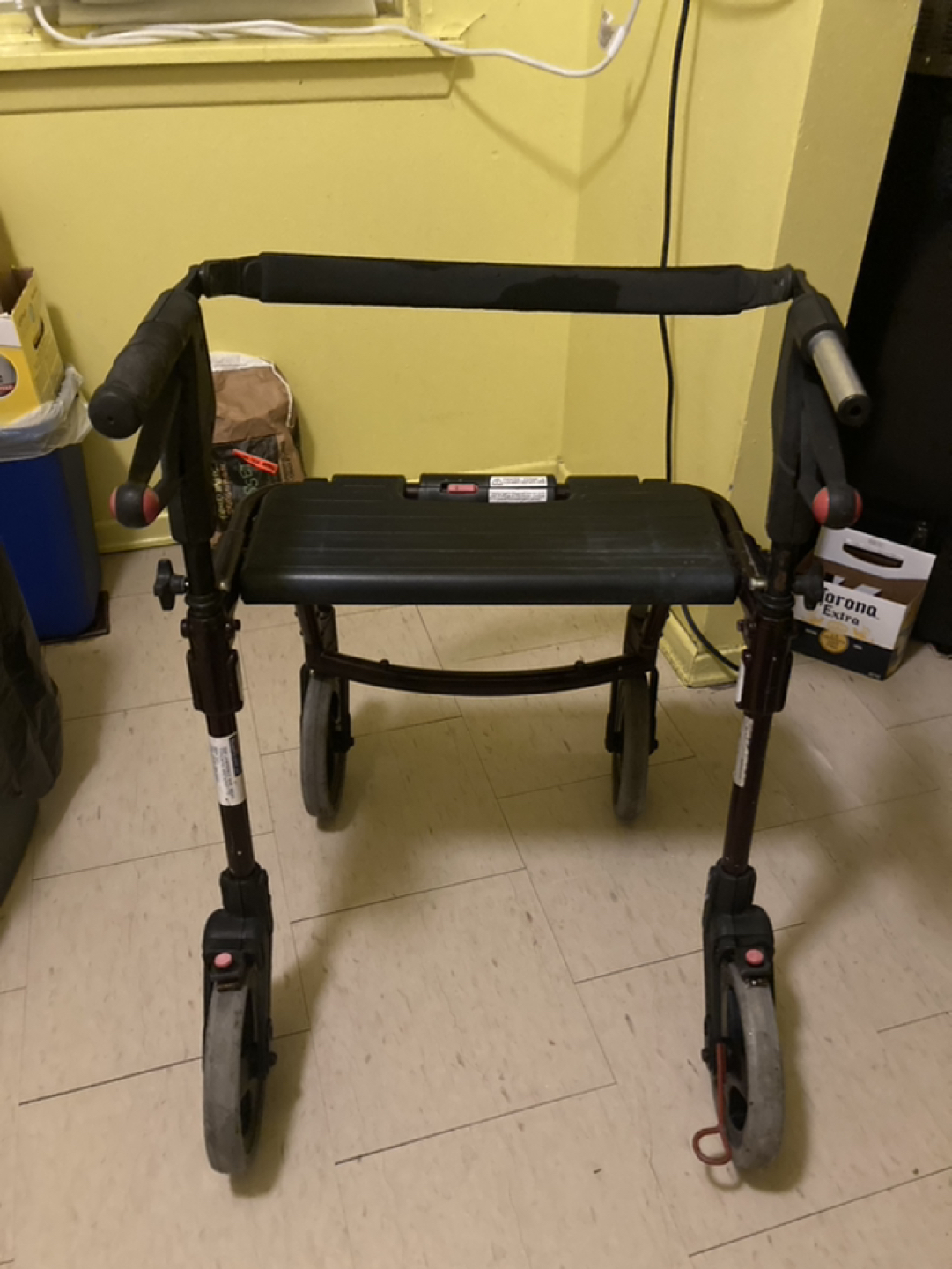 Adult Walker - photo 2