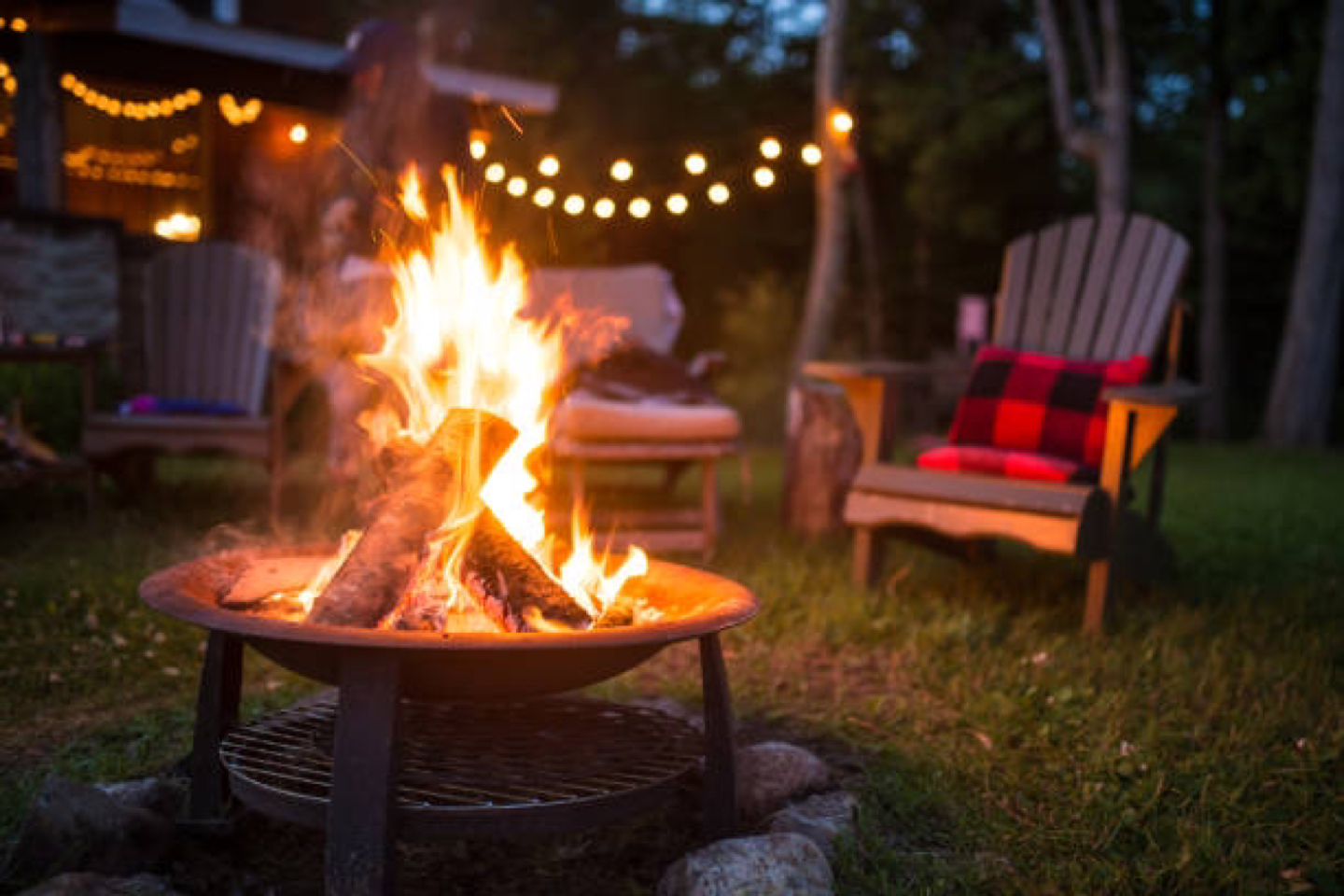 Free wood for campfires ! #freecycle